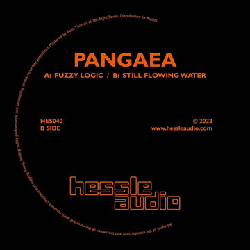 Pangaea - Fuzzy Logic Vinyl Vinly Record