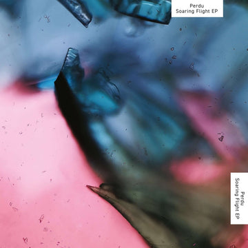 Perdu - Soaring Flight Vinyl Vinly Record