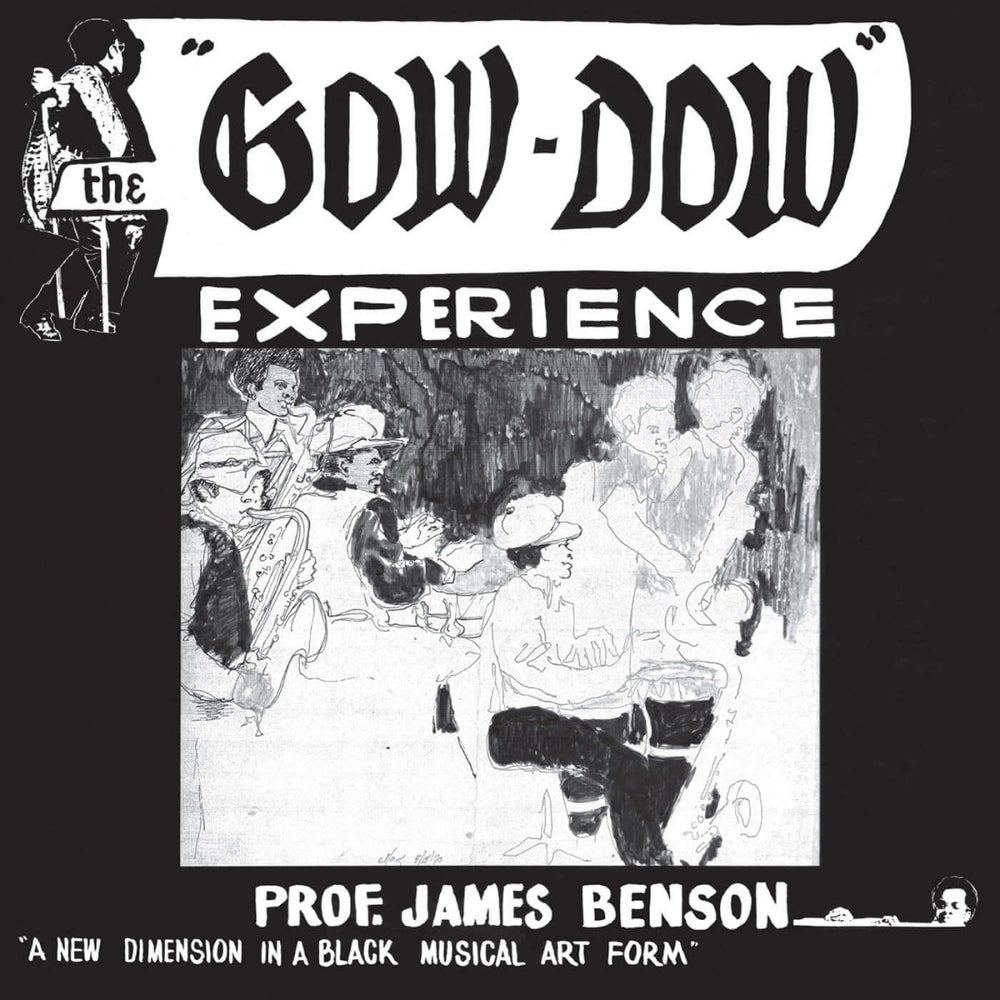 Prof James Benson - The Gow - Dow Experience Vinyl