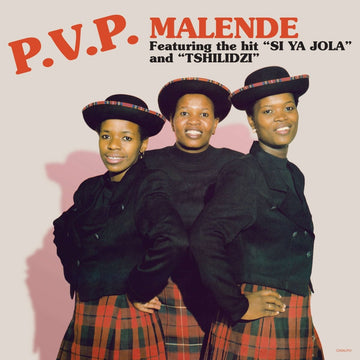 PVP - Malende Vinyl Vinly Record