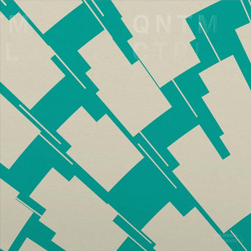 QNTM CTRL - The Eagle And The Senses Vinyl Vinly Record