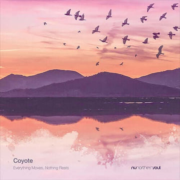 Coyote - 'Everything Moves, Nothing Rests' Vinyl - Artists Coyote Genre Balearic, Downtempo Release Date 7 Sept 2022 Cat No. NUNS045V Format 12