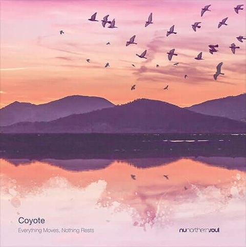 Coyote - 'Everything Moves, Nothing Rests' Vinyl - Artists Coyote Genre Balearic, Downtempo Release Date 7 Sept 2022 Cat No. NUNS045V Format 12" Vinyl - NuNorthern Soul - NuNorthern Soul - NuNorthern Soul - NuNorthern Soul - Vinyl Record