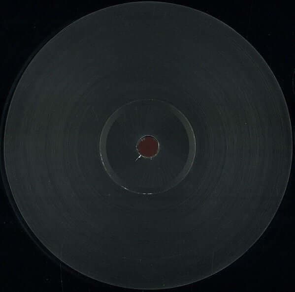 Rick Wilhite / Tim Mcallister ‎ - The MC / Son Vinyl