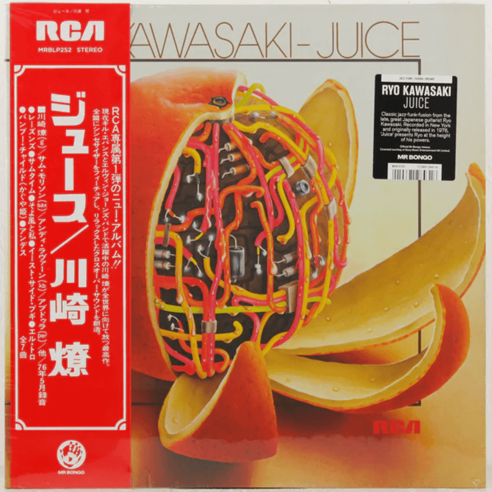 Ryo Kawasaki - Juice Vinyl