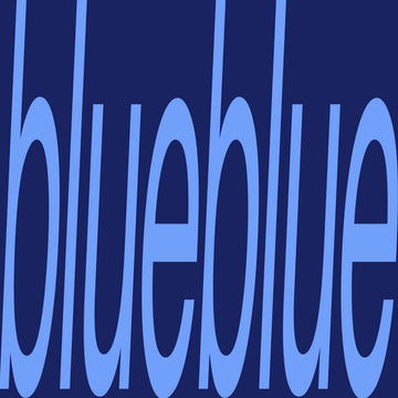 Sam Gendel - blueblue Vinyl Vinly Record