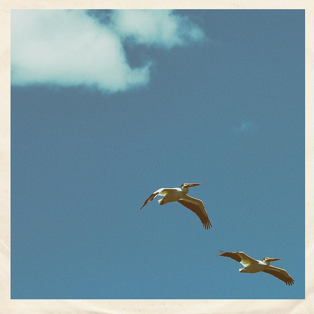 Sim Nagai - Palm Dreams Vinyl