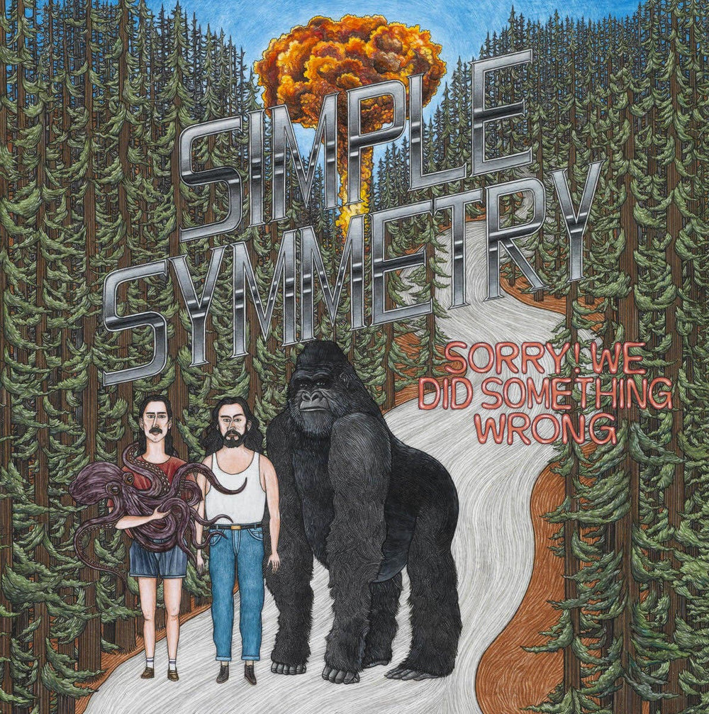 Simple Symmetry - Sorry! We Did Something Wrong Vinyl