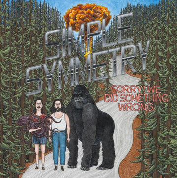 Simple Symmetry - Sorry! We Did Something Wrong Vinyl Vinly Record