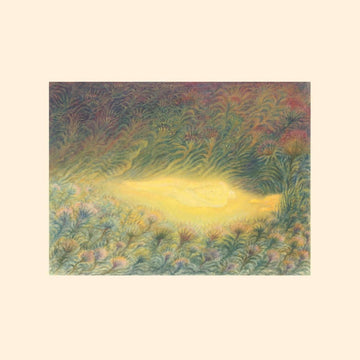 Sofie Birch & Antonina Nowacka - 'Languoria' Vinyl Vinyl Vinly Record