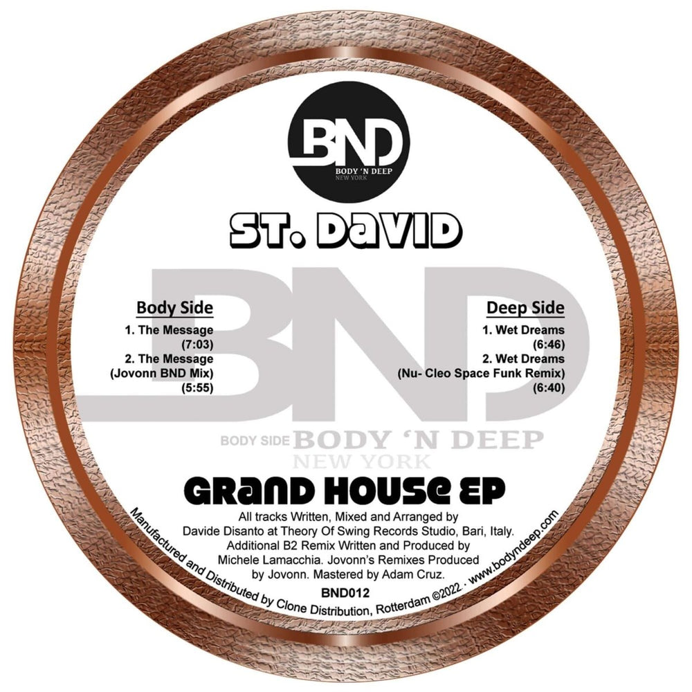 St David - Grand House Vinyl