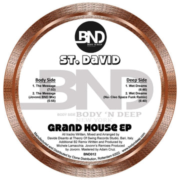 St David - Grand House Vinyl Vinly Record