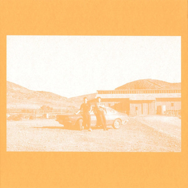 The Frenzied Bricks - The Frenzied Bricks Vinyl