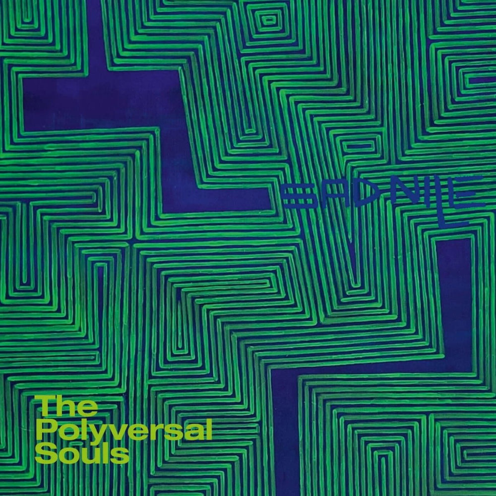 The Polyversal Souls - Sad Nile Vinyl