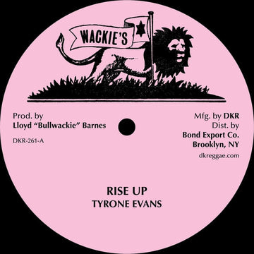 Tyrone Evans - Rise Up (Discomix) Vinyl Vinly Record