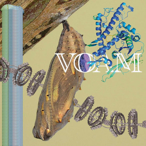 Pariah - 'Caterpillar' Vinyl - Artists Pariah Genre Techno, Trance Release Date 3 Aug 2022 Cat No. VOAM009 Format 12" Vinyl - Voam - Voam - Voam - Voam - Vinyl Record