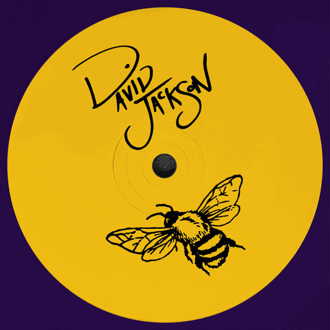 David Jackson - I Wanna Dance With Daisy - Artists David Jackson Genre Eurodance, Trance Release Date 1 Jul 2022 Cat No. SSSS-7 Format 12" Purple Vinyl - Sulta Selects Silver Service - Vinyl Record