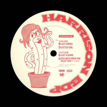 Harrison BDP - Cactus Girl - Artists Harrison BDP Genre Tech House, Breaks Release Date 8 Dec 2022 Cat No. DSD037 Format 12