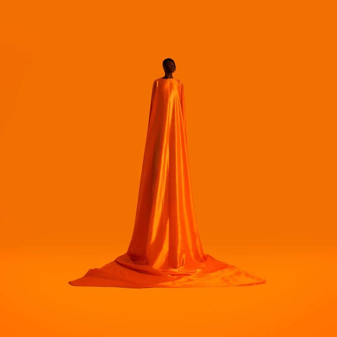Wayne Snow - Figurine - Wayne Snow - Figurine LP (Vinyl) - After three years of work, Nigerian-born neo-soul singer Wayne Snow returns with a new album Figurine. Written between Berlin and Paris, this album is based on a simple question: "Who is the real - Vinyl Record