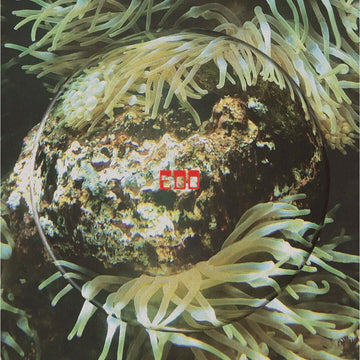 Valentino Mora - Hydrosphere Vinyl Vinly Record