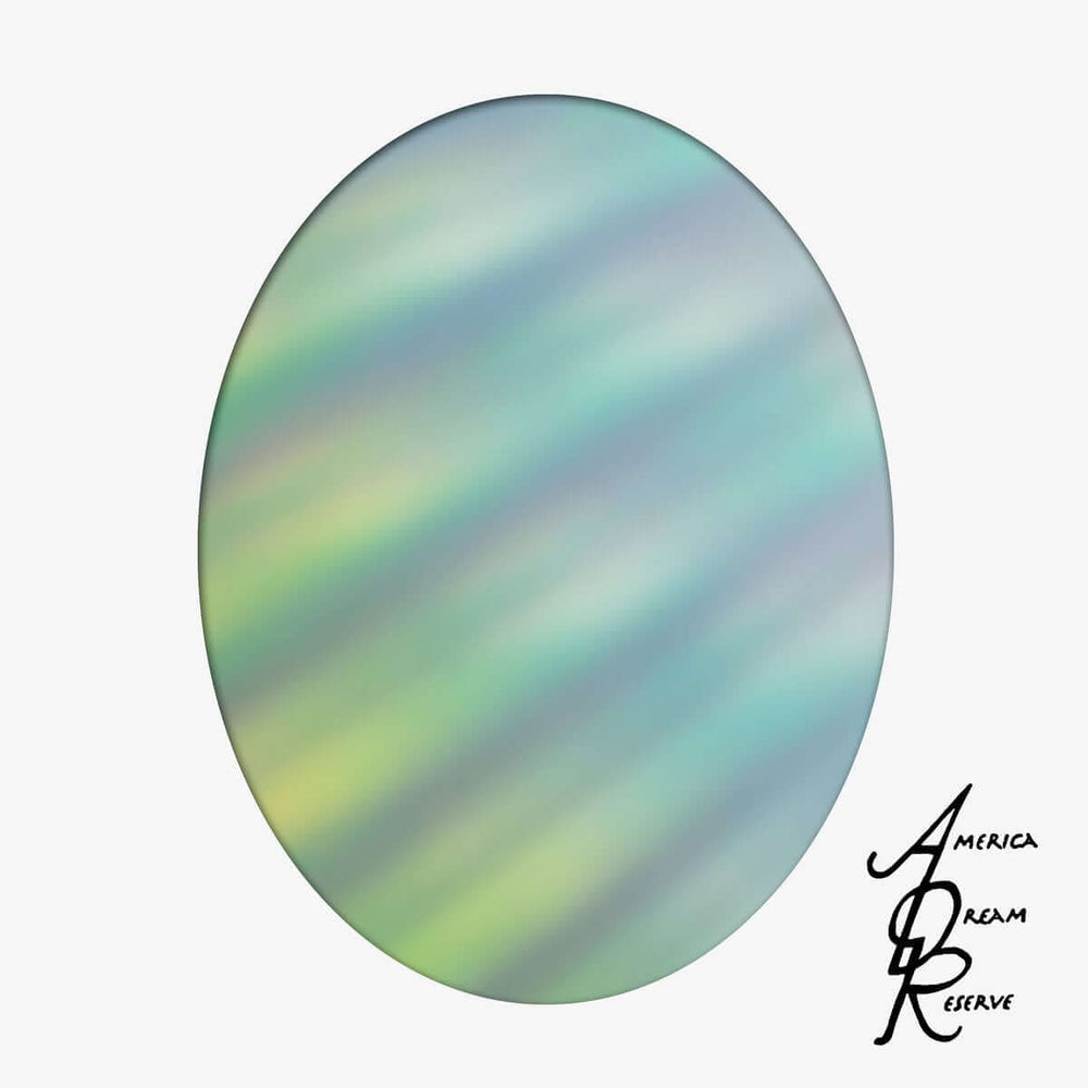Various - America Dream Reserve Vinyl