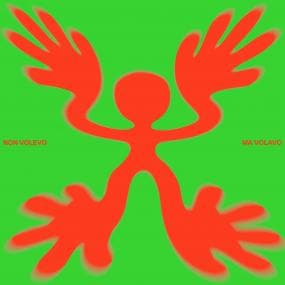 Various - 'Non Volevo Ma Volavo' Vinyl Vinyl Vinly Record