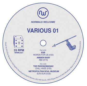 Various - 'NRML021' Vinyl Vinyl Vinly Record