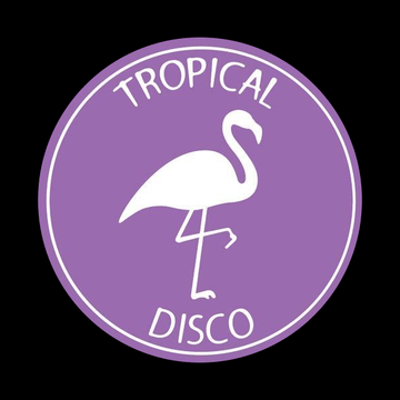 Various - Tropical Disco Edits Vol 2 Vinyl Vinly Record
