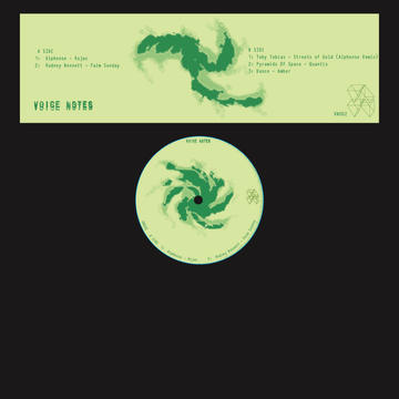 Various - Voice Notes 002 Vinyl Vinly Record