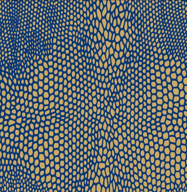 Vesu's - List Of Lizards II Vinyl