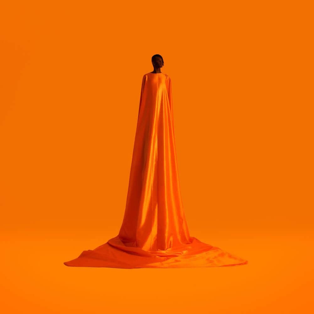 Wayne Snow - Figurine Vinyl
