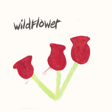 Wildflower - Better Times Vinyl Vinly Record