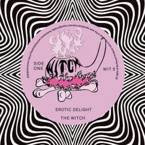 Witch - Erotic Delight / Change Of A Feeling Vinyl